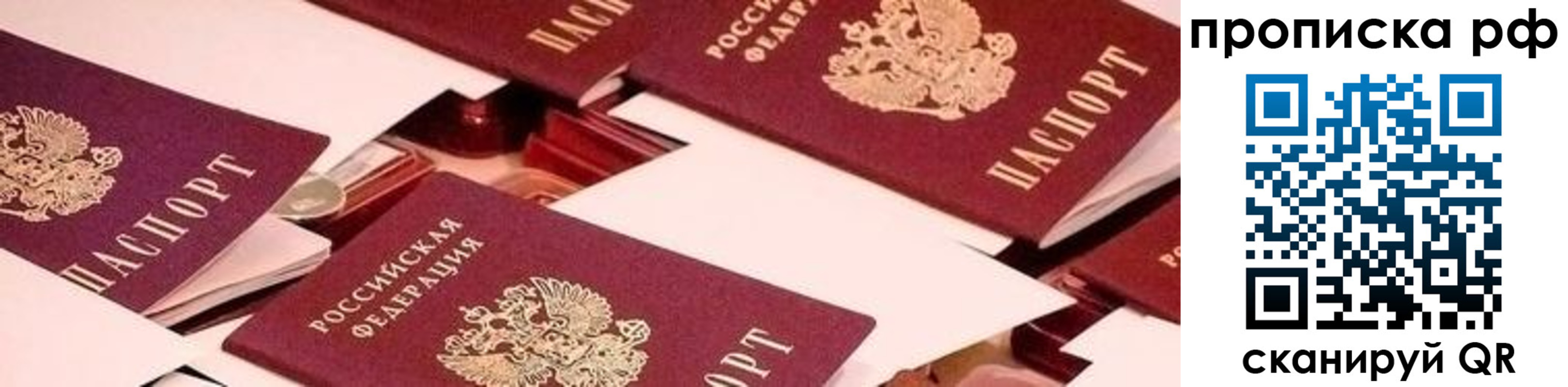 купить прописку в Звенигово